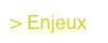 > Enjeux